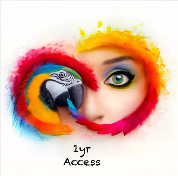 Adobe Creative Cloud All Apps – 12 Month License | PC/Mac | Instant Email Delivery - Image 3